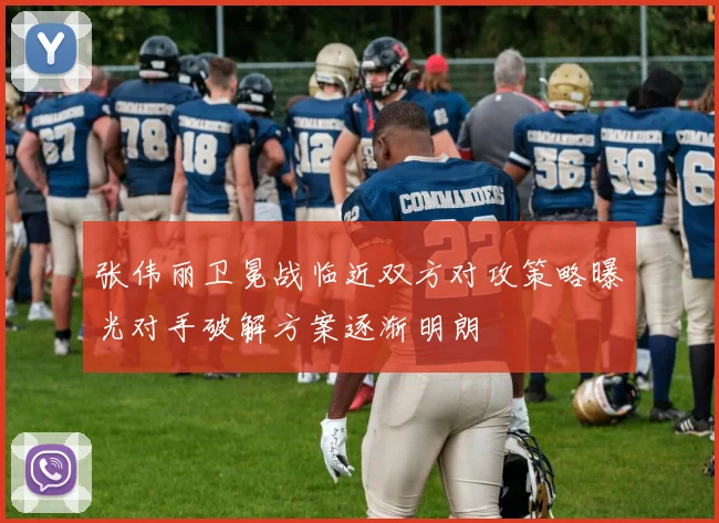 张伟丽卫冕战临近双方对攻策略曝光对手破解方案逐渐明朗
