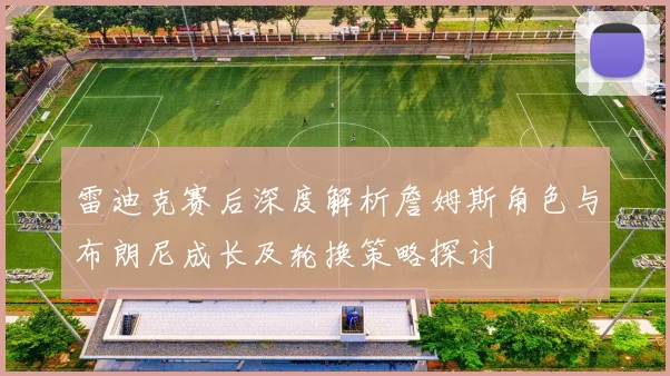 雷迪克赛后深度解析詹姆斯角色与布朗尼成长及轮换策略探讨