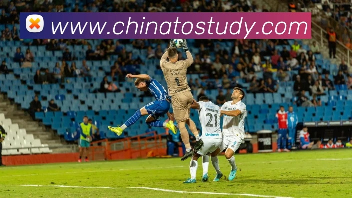 奖项证书