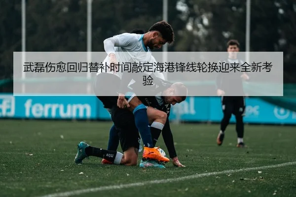 武磊伤愈回归替补时间敲定海港锋线轮换迎来全新考验